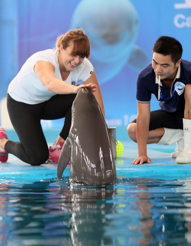 的个人秀 的个人秀