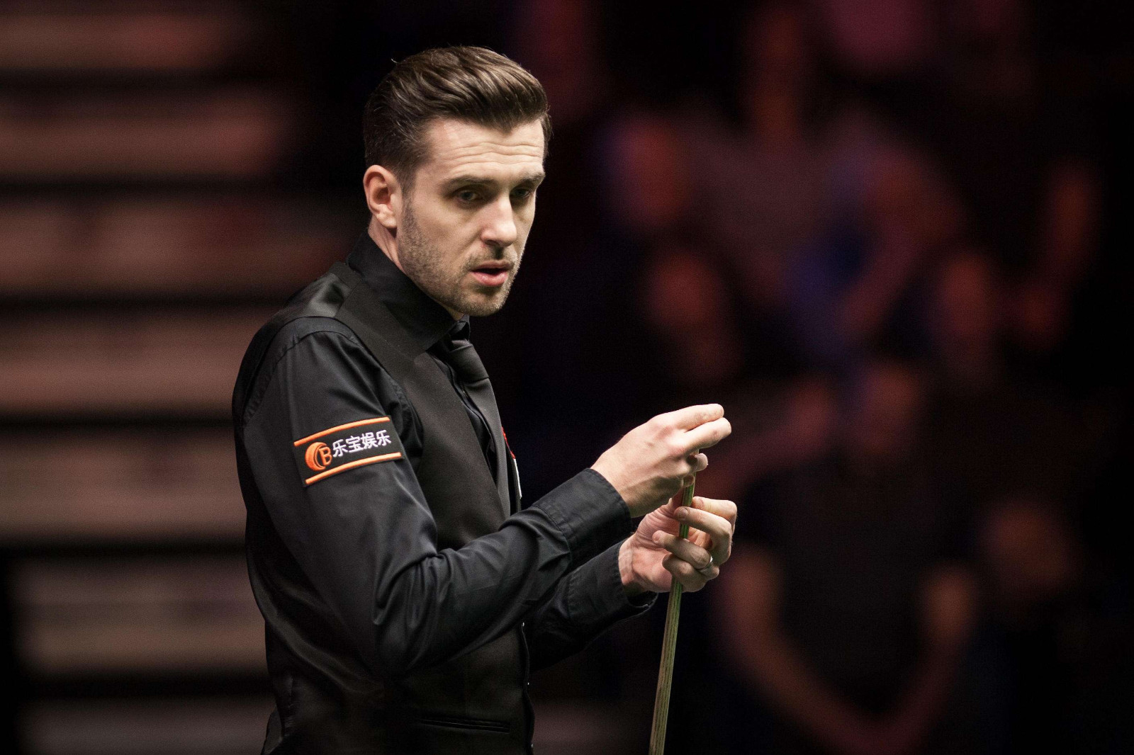 又热闹了 又热闹了