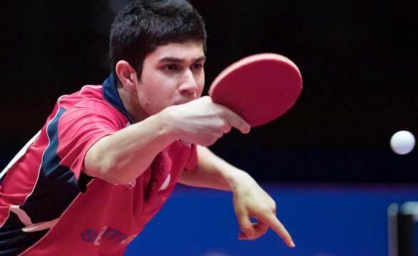 需要我翻译 需要我翻译